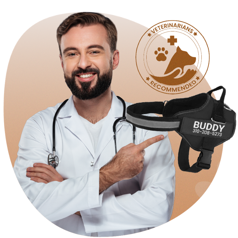 The Original TrueHarness™ Personalized NoPull Dog Harness